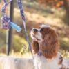 lusi doog sonbahar temalı köpek gezdirme kayışı