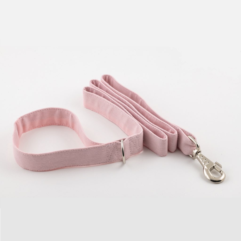 köpek gezdirme tasması