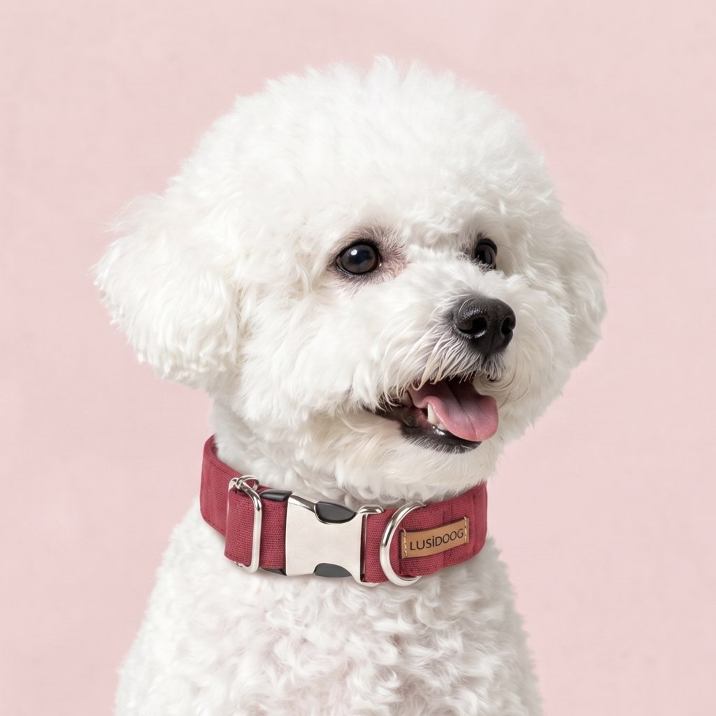 köpek tasması