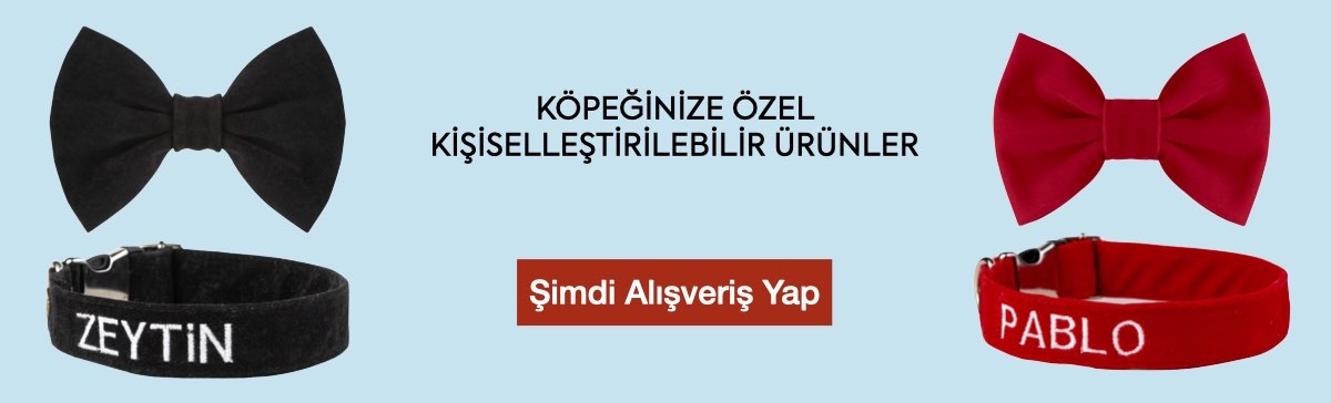 isimli köpek tasması