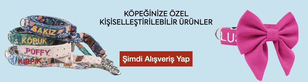 isimli köpek tasması