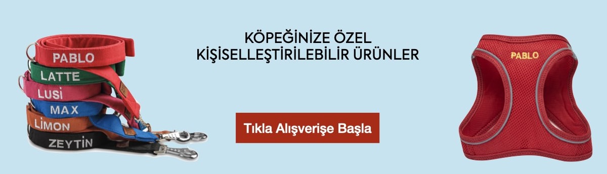 isimli köpek tasması