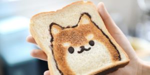 köpek beslenme saatleri