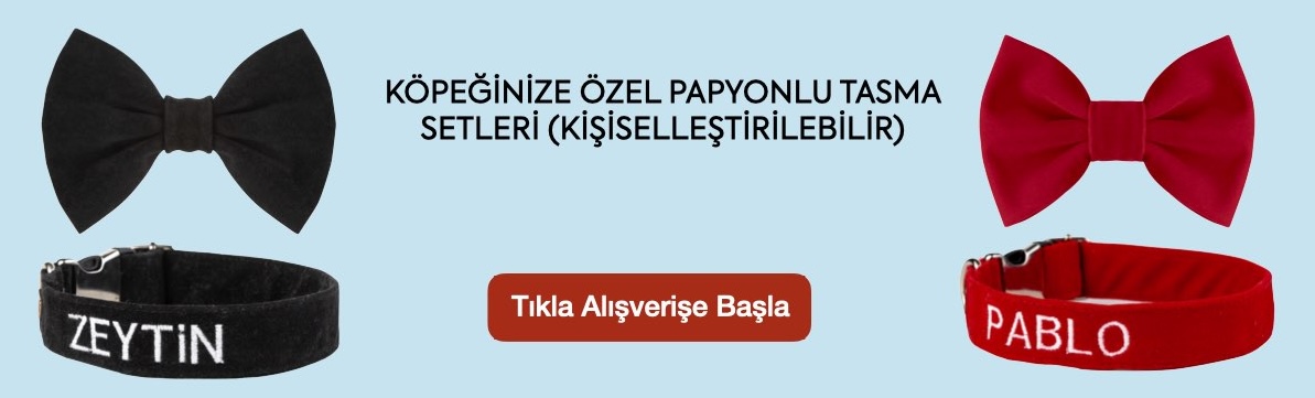 isimli tasma