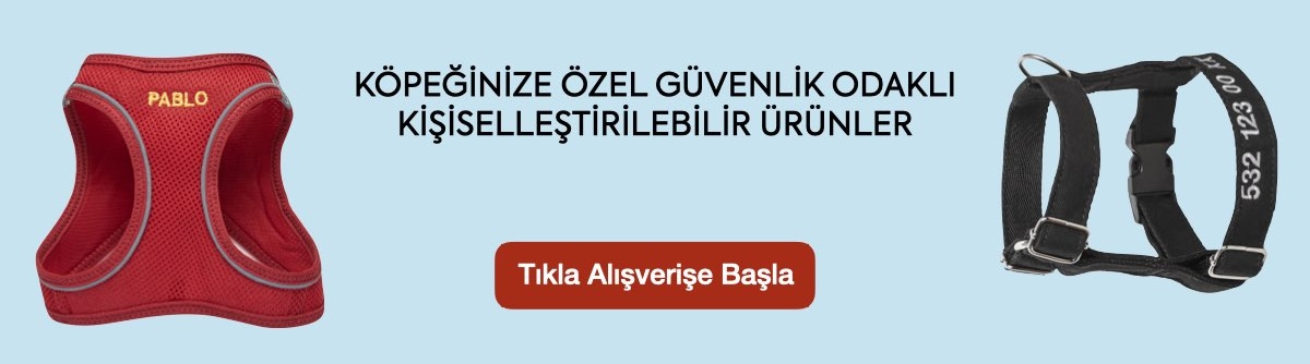 isimli tasma