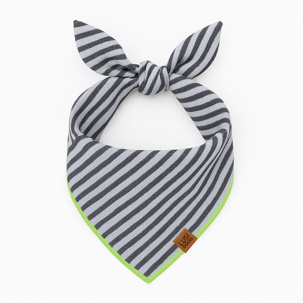 köpek bandana
