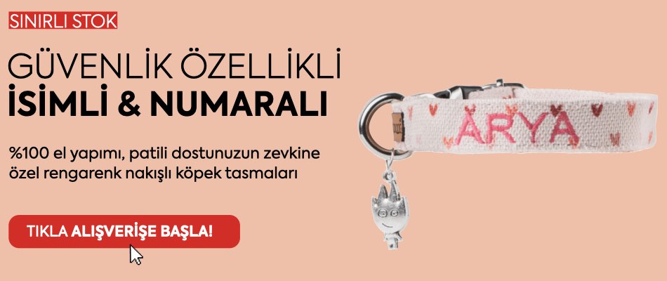 Bu görselin Alt özniteliği boş. Dosya adı: numarali-isimli-kedi-tasmasi-1.jpeg