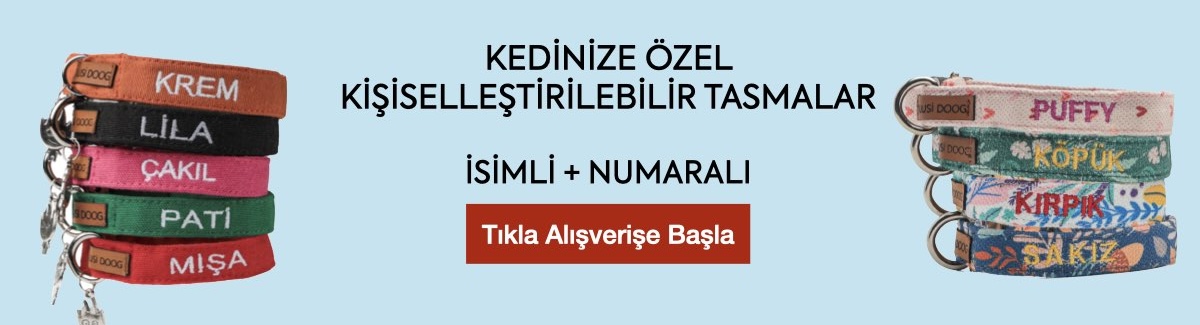 kedi tasması isimli