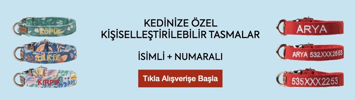 kedi tasması isimli