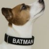 isimli köpek tasması