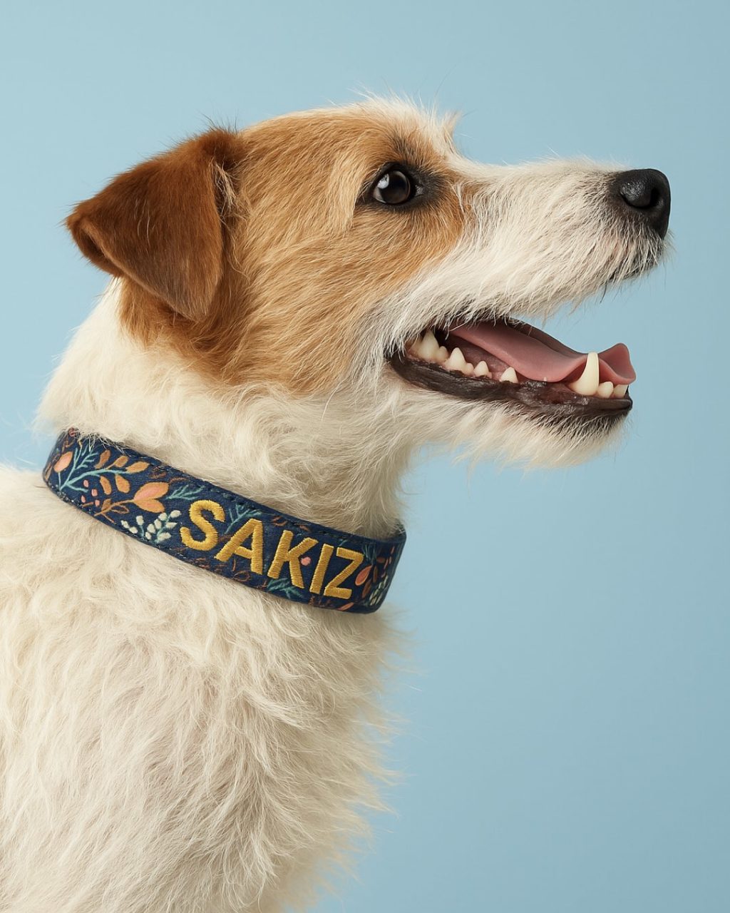 isimli köpek tasması