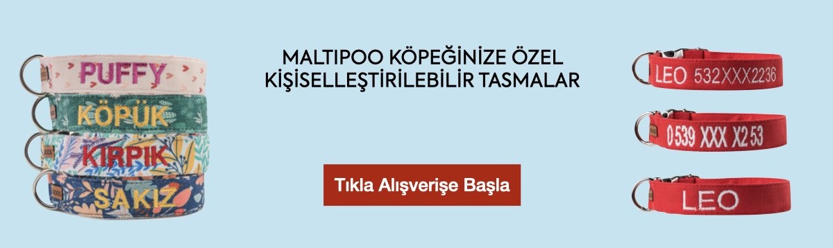 isimli köpek tasması