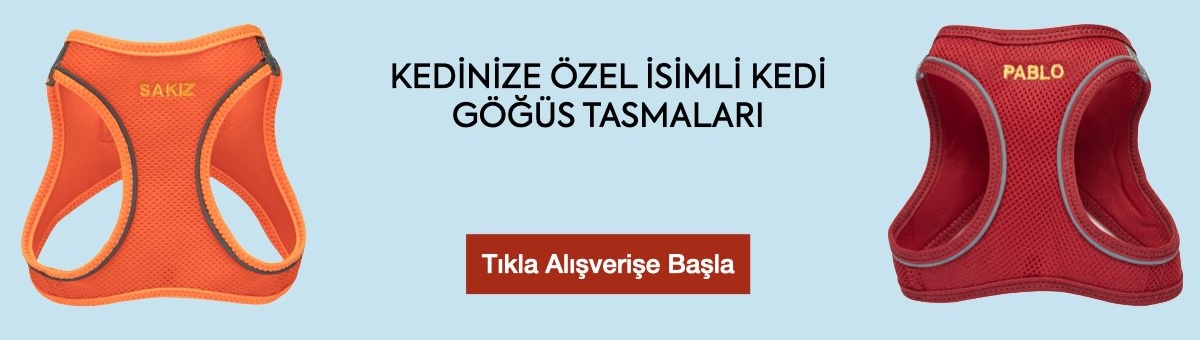 kedi göğüs tasması