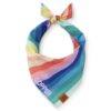 isimli köpek bandana