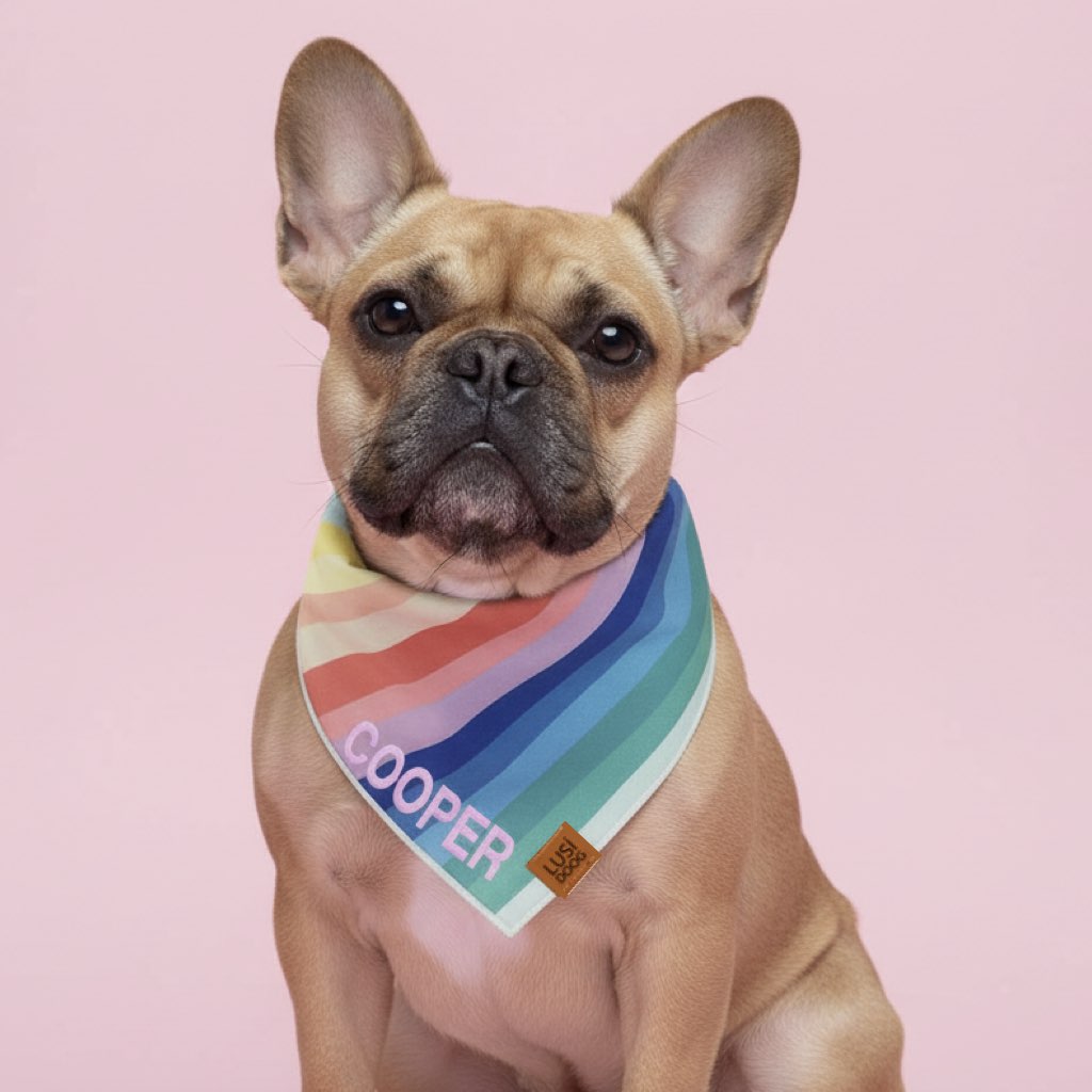 isimli köpek bandana