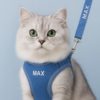 kedi gezdirme tasması