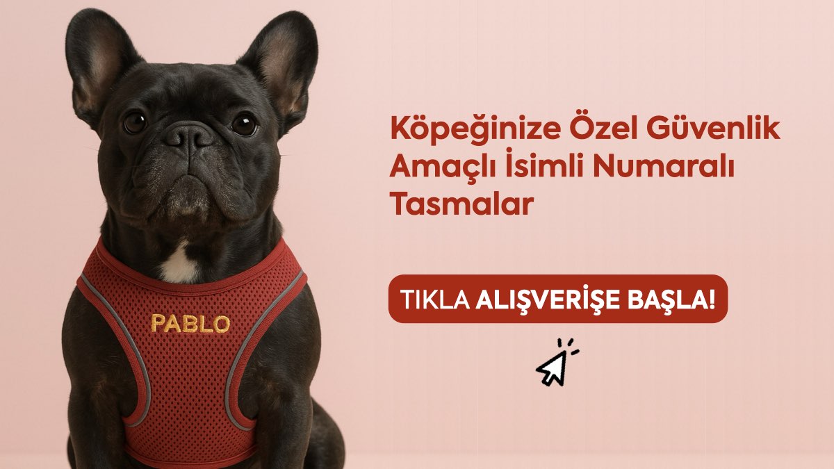 isimli tasma