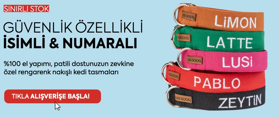isimli köpek tasması