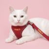 kedi göğüs tasması