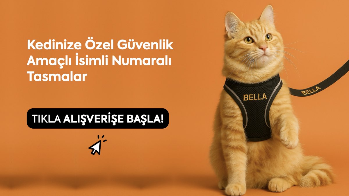 kedi tasması