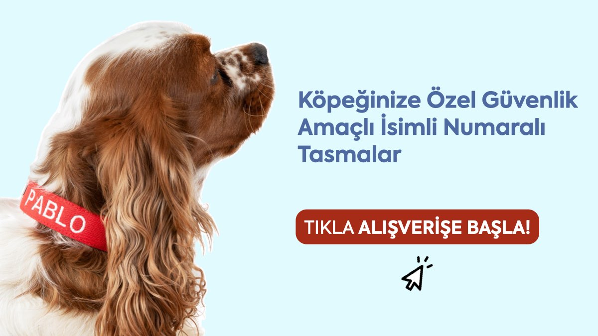 isimli köpek tasması