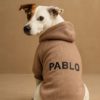 köpek sweat