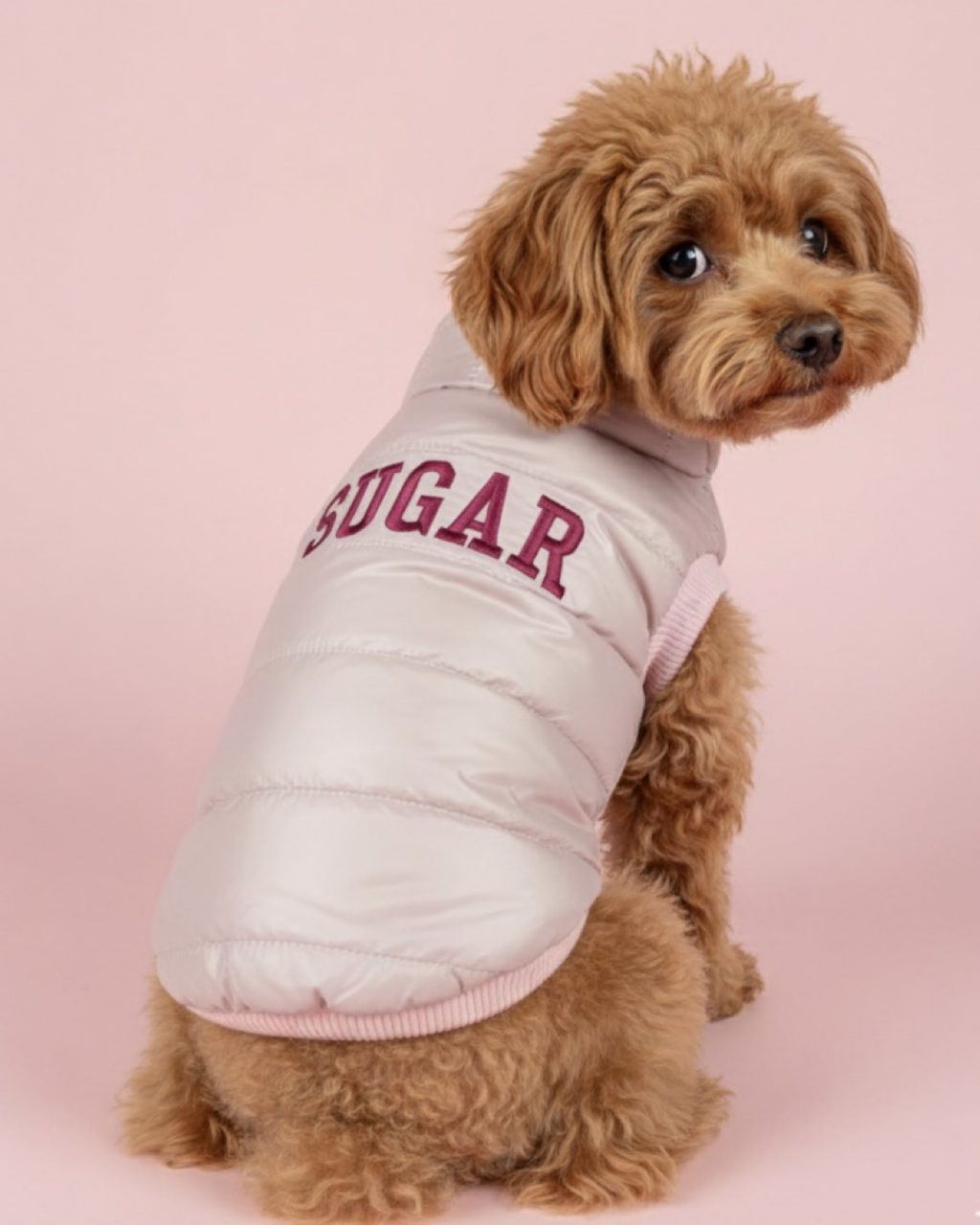 köpek yeleği