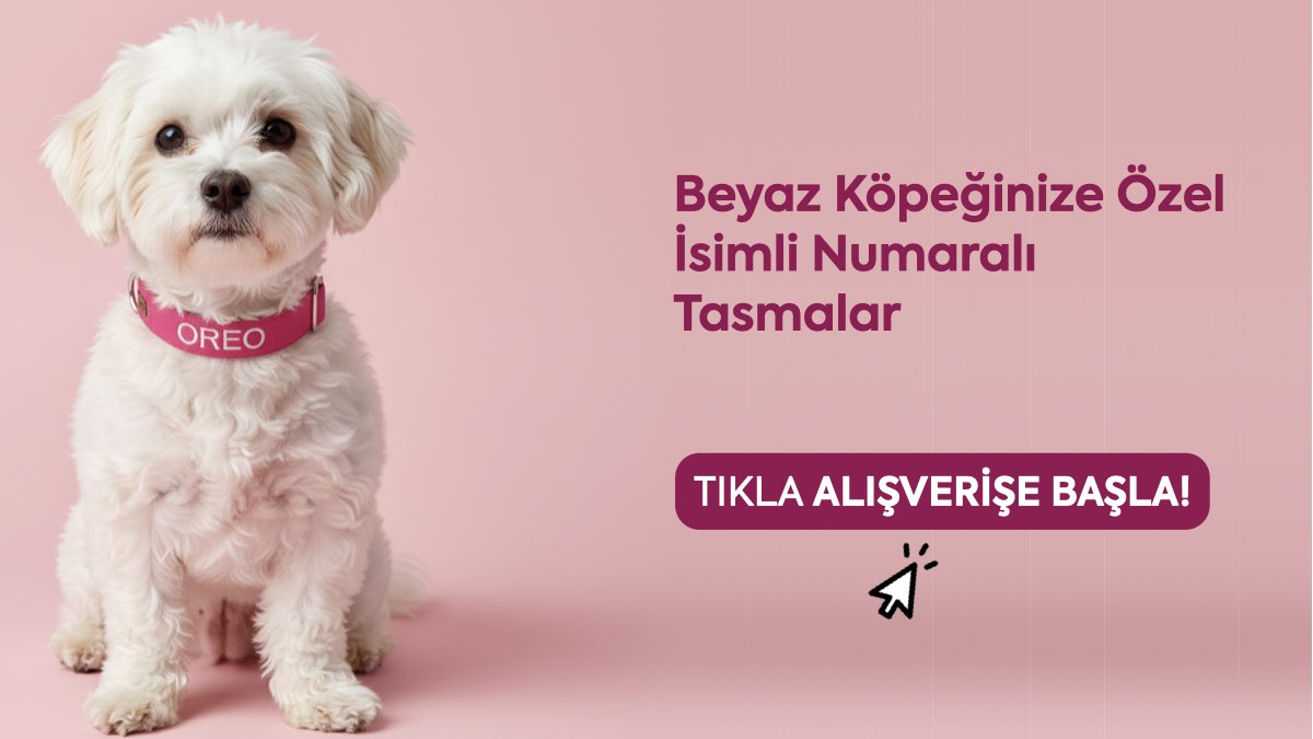 beyaz köpek isimleri