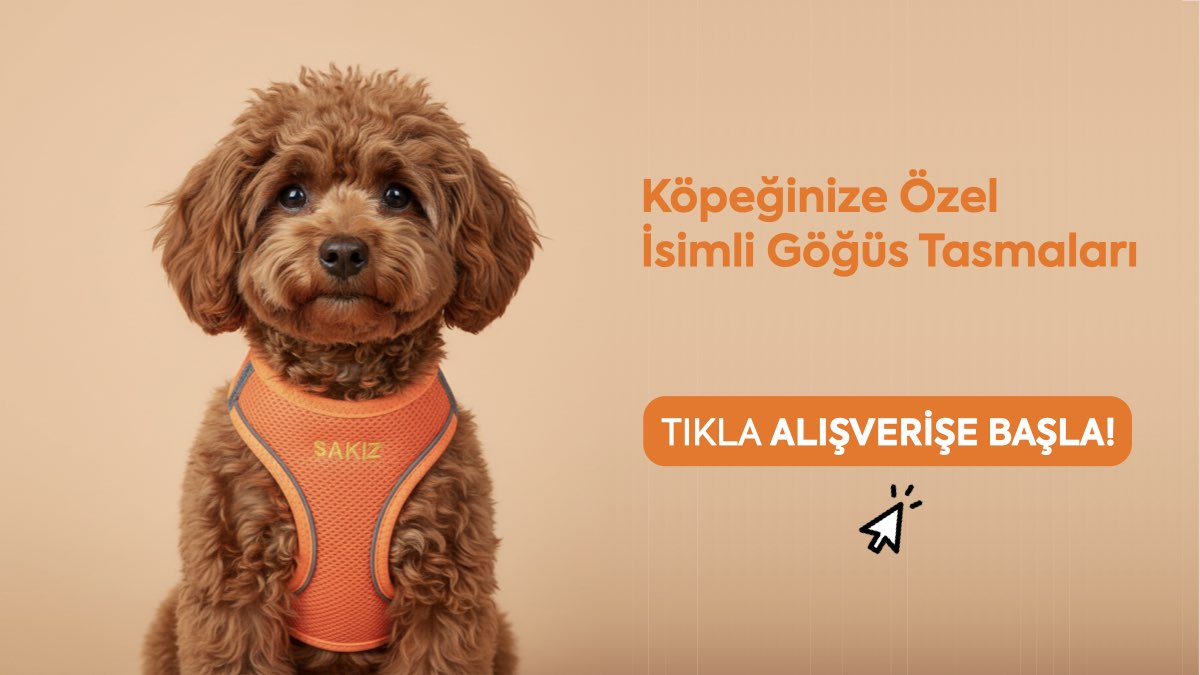 numaralı göğüs tasması