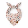 isimli köpek bandana