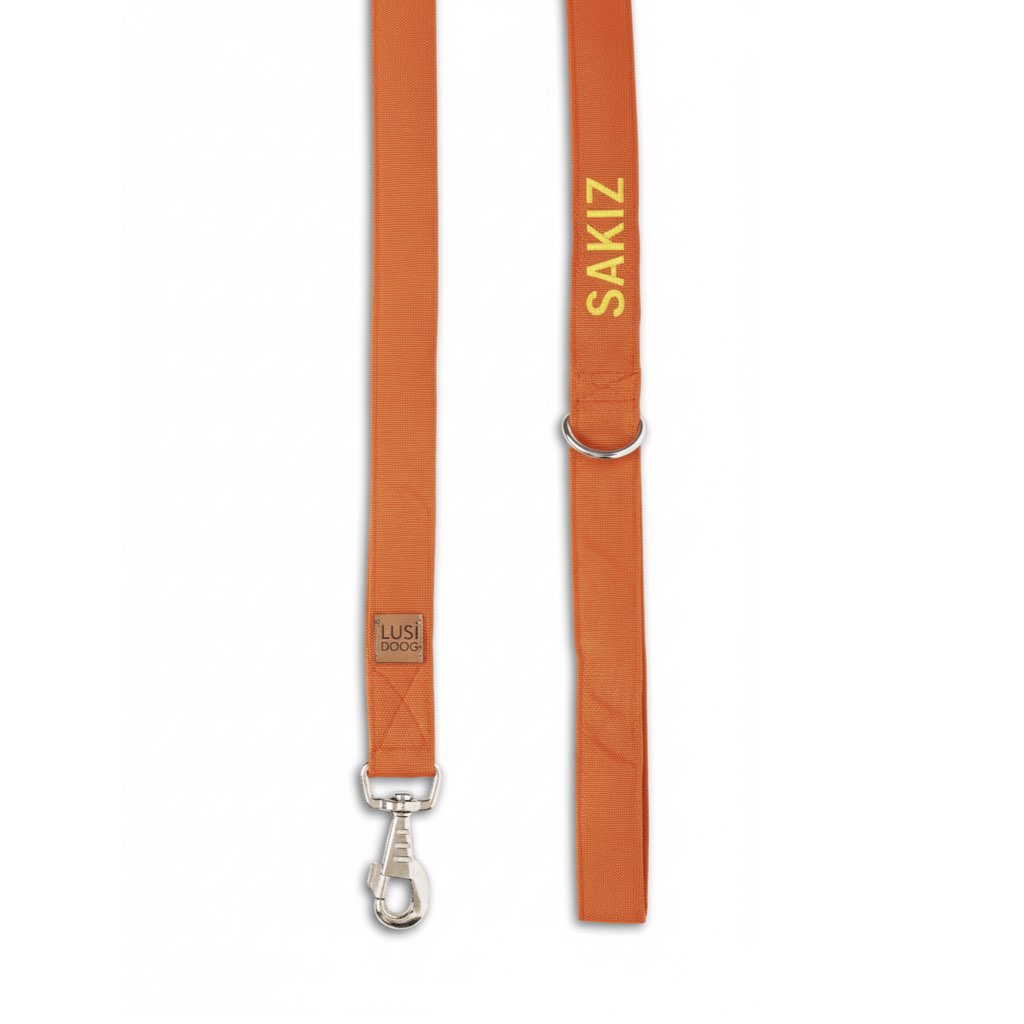 Turuncu İsimli Gezdirme Kayışı