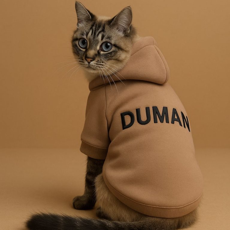 kedi kapşonlu sweatshirt