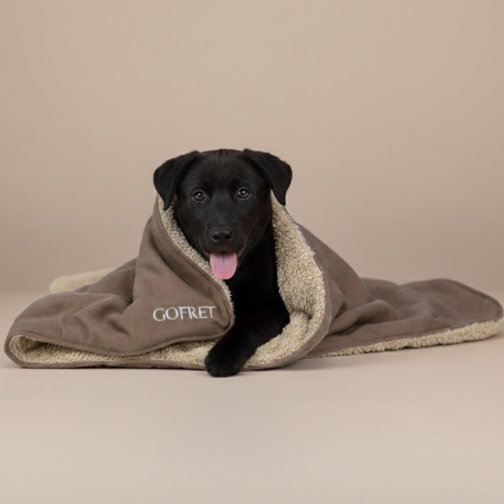 kedi köpek battaniyesi