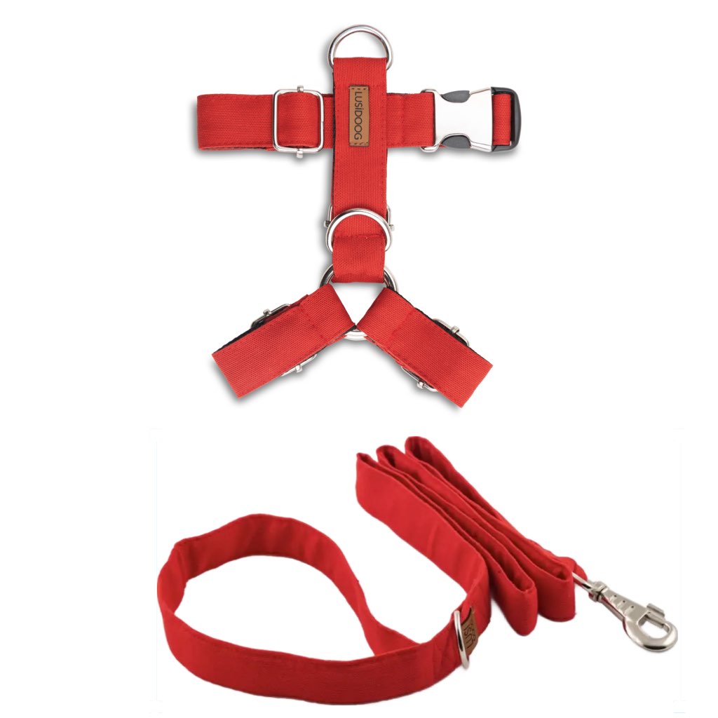 Köpek Göğüs Tasması ve Gezdirme Kayışı Seti Kırmızı