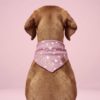 köpek bandana