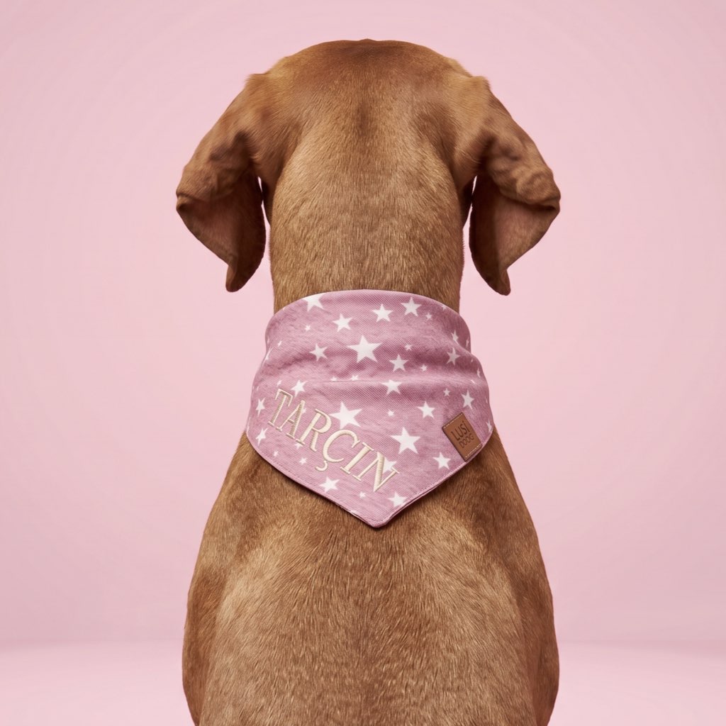 köpek bandana