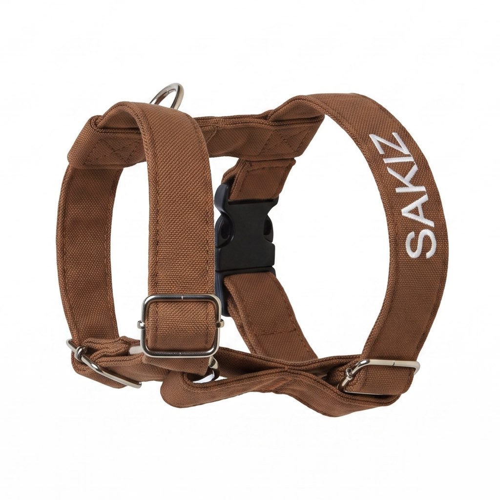 köpek göğüs tasması