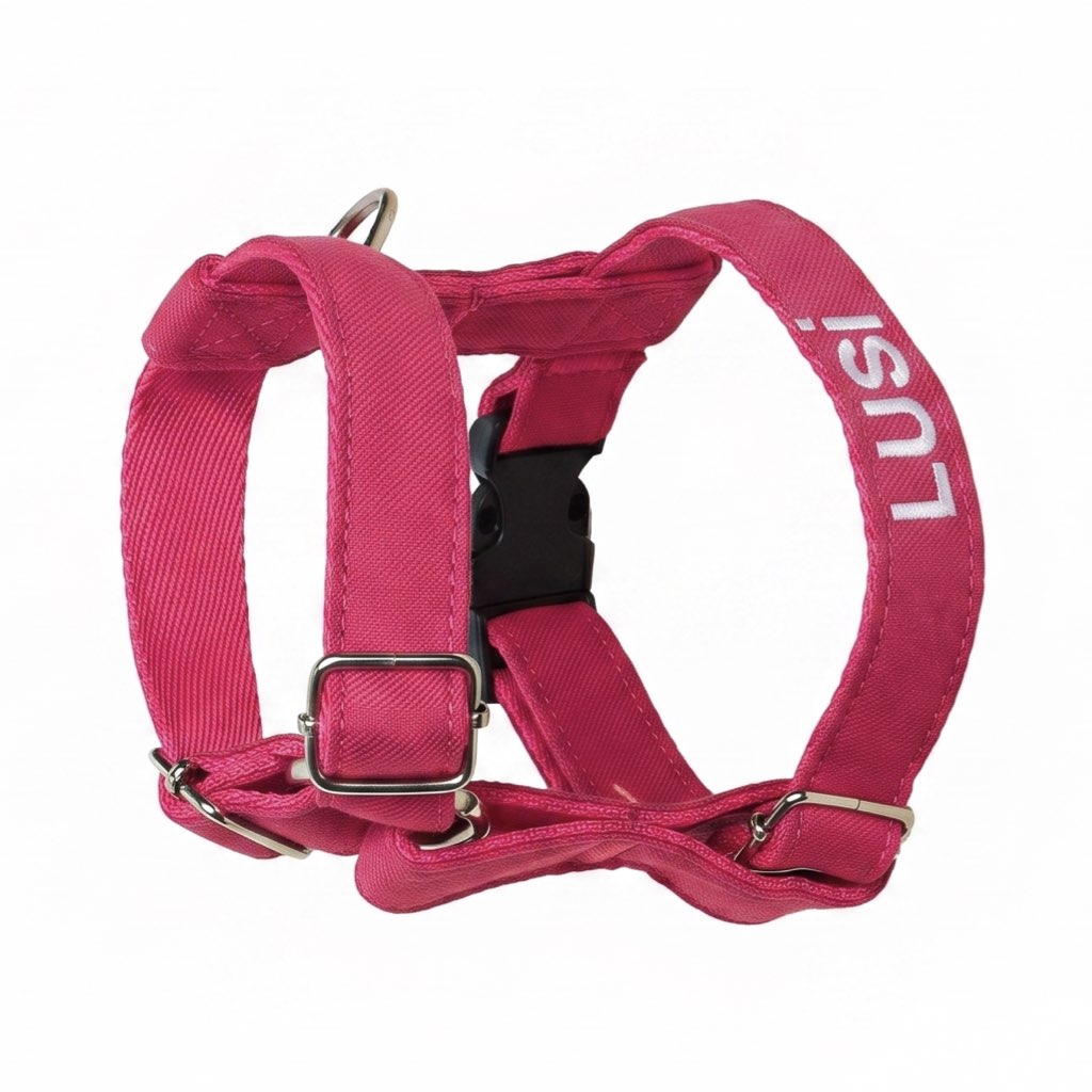köpek göğüs tasması