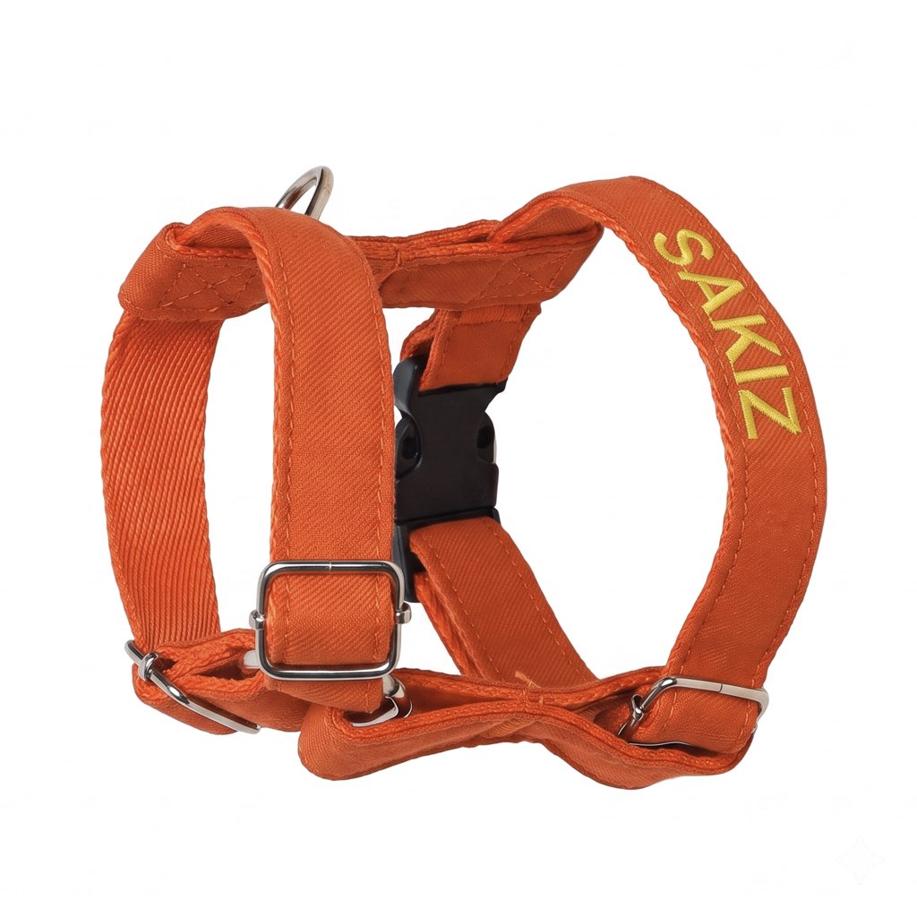 köpek göğüs tasması