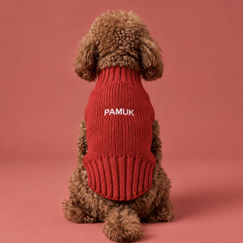 İsimli Köpek Kazağı (Kırmızı)