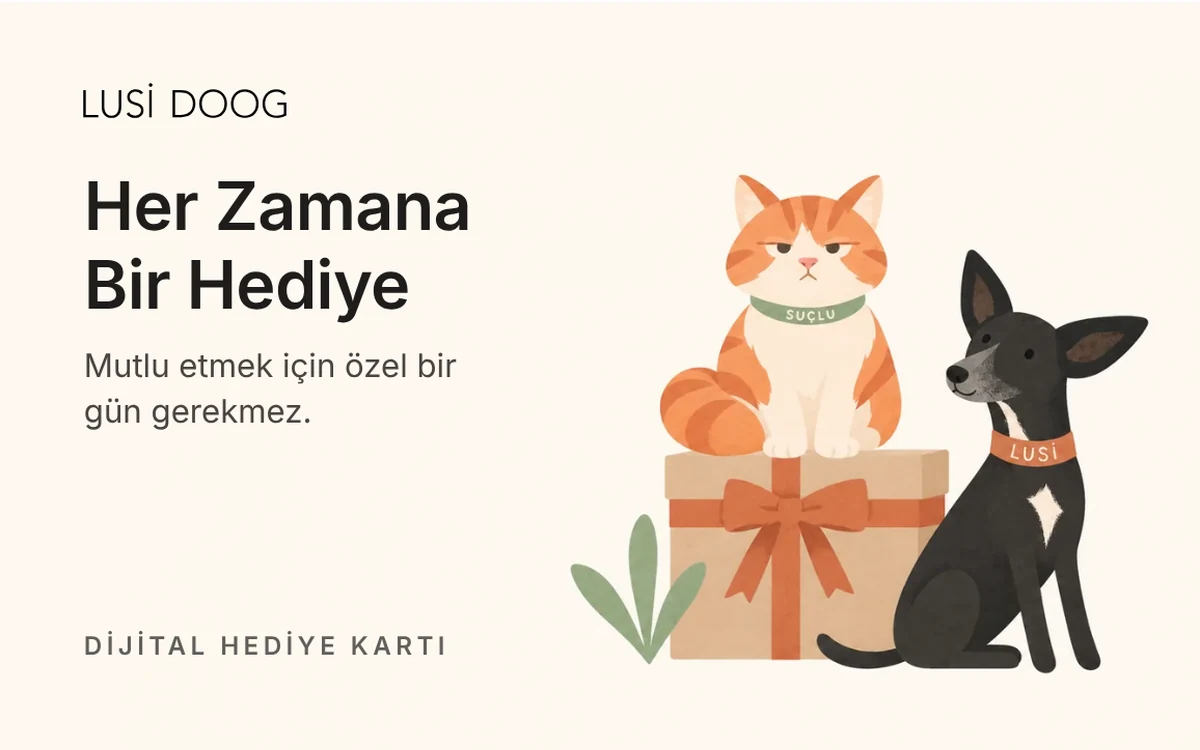 Her Zamana Bir Hediye