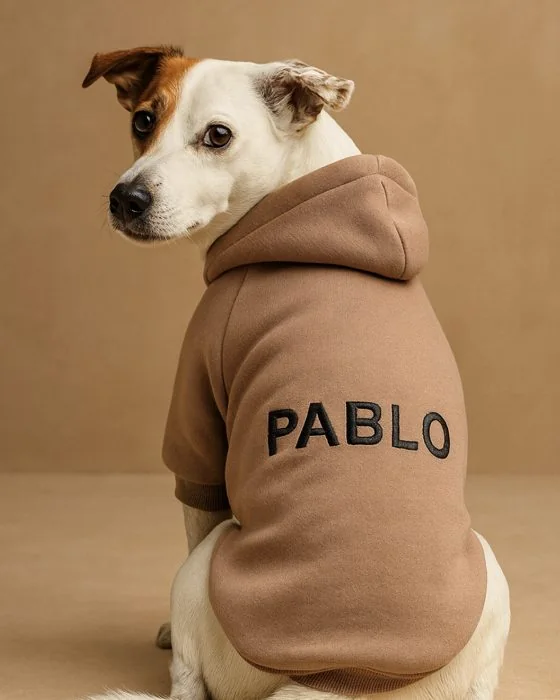 Sırtında PABLO yazan kahverengi kapüşonlu sweatshirt giymiş köpek